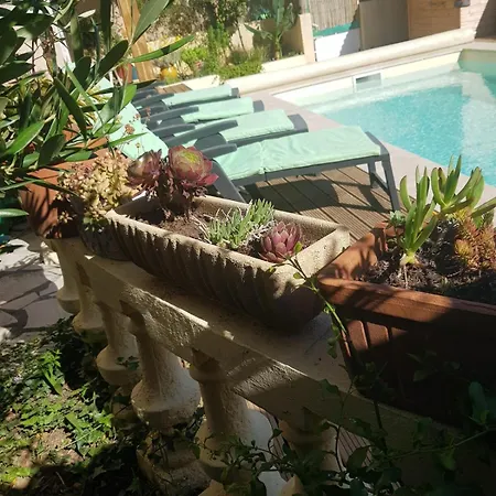 Piscine Privee